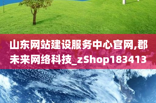 山东网站建设服务中心官网,郡未来网络科技_zShop183413