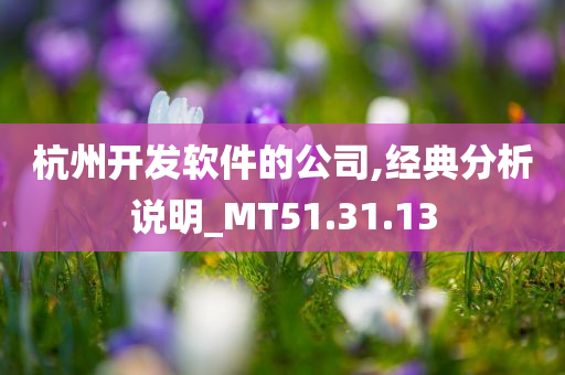 杭州开发软件的公司,经典分析说明_MT51.31.13