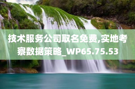 技术服务公司取名免费,实地考察数据策略_WP65.75.53