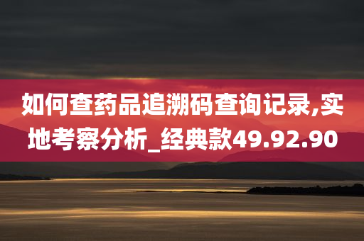 如何查药品追溯码查询记录,实地考察分析_经典款49.92.90