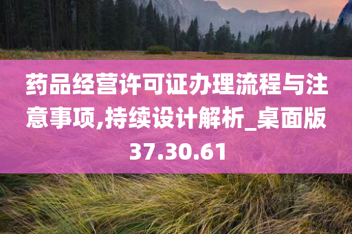 药品经营许可证办理流程与注意事项,持续设计解析_桌面版37.30.61