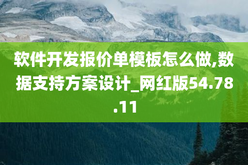 软件开发报价单模板怎么做,数据支持方案设计_网红版54.78.11