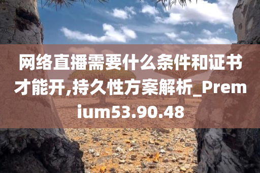 网络直播需要什么条件和证书才能开,持久性方案解析_Premium53.90.48