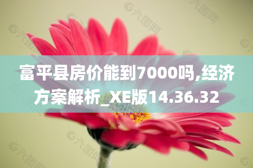 富平县房价能到7000吗,经济方案解析_XE版14.36.32