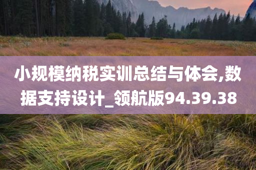 小规模纳税实训总结与体会,数据支持设计_领航版94.39.38