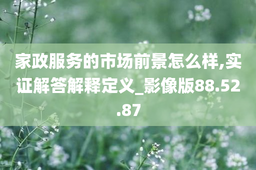 家政服务的市场前景怎么样,实证解答解释定义_影像版88.52.87