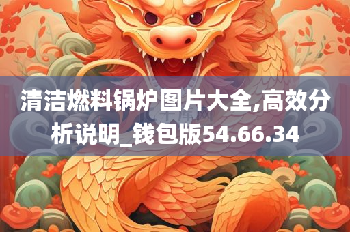 清洁燃料锅炉图片大全,高效分析说明_钱包版54.66.34