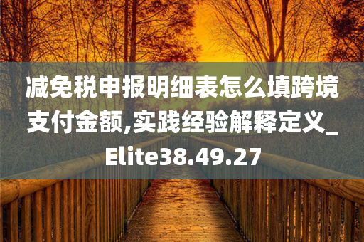 减免税申报明细表怎么填跨境支付金额,实践经验解释定义_Elite38.49.27