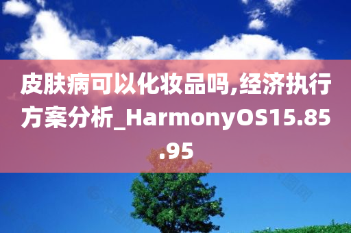 皮肤病可以化妆品吗,经济执行方案分析_HarmonyOS15.85.95