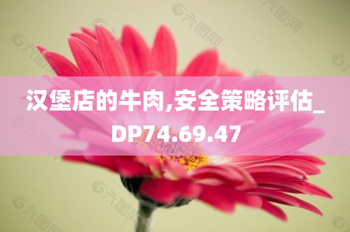 汉堡店的牛肉,安全策略评估_DP74.69.47