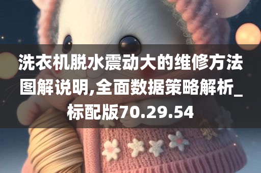 洗衣机脱水震动大的维修方法图解说明,全面数据策略解析_标配版70.29.54