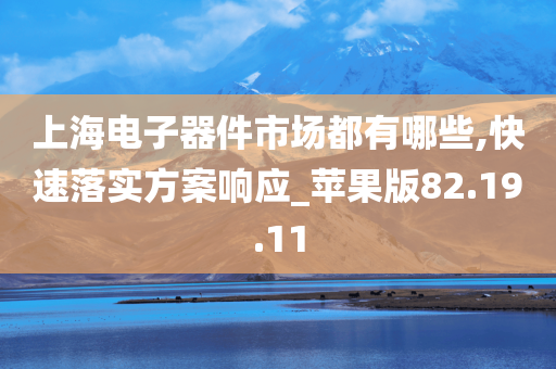 上海电子器件市场都有哪些,快速落实方案响应_苹果版82.19.11