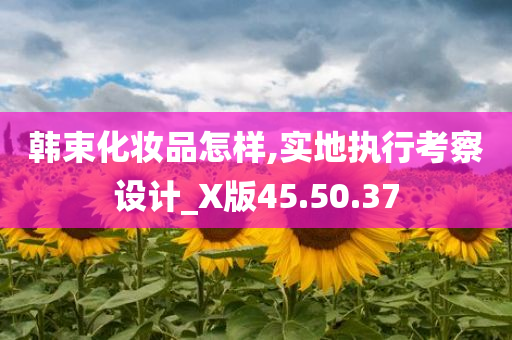 韩束化妆品怎样,实地执行考察设计_X版45.50.37