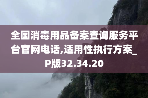 全国消毒用品备案查询服务平台官网电话,适用性执行方案_P版32.34.20