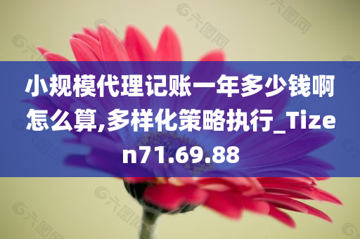 小规模代理记账一年多少钱啊怎么算,多样化策略执行_Tizen71.69.88