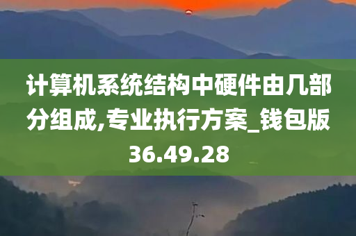 计算机系统结构中硬件由几部分组成,专业执行方案_钱包版36.49.28