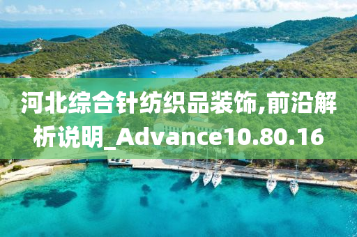 河北综合针纺织品装饰,前沿解析说明_Advance10.80.16