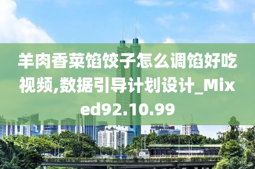 羊肉香菜馅饺子怎么调馅好吃视频,数据引导计划设计_Mixed92.10.99