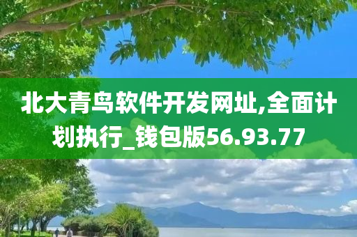 北大青鸟软件开发网址,全面计划执行_钱包版56.93.77