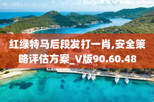 红绿特马后段发打一肖,安全策略评估方案_V版90.60.48