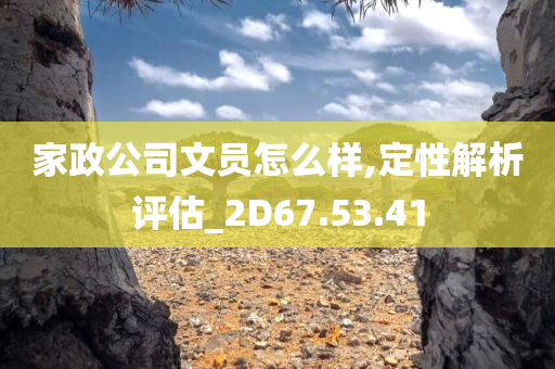 家政公司文员怎么样,定性解析评估_2D67.53.41