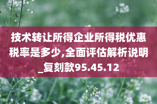 技术转让所得企业所得税优惠税率是多少,全面评估解析说明_复刻款95.45.12