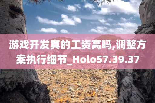 游戏开发真的工资高吗,调整方案执行细节_Holo57.39.37