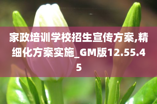 家政培训学校招生宣传方案,精细化方案实施_GM版12.55.45