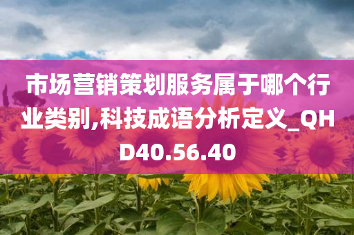 市场营销策划服务属于哪个行业类别,科技成语分析定义_QHD40.56.40