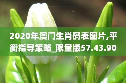 2020年澳门生肖码表图片,平衡指导策略_限量版57.43.90