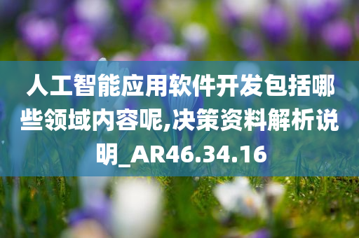 人工智能应用软件开发包括哪些领域内容呢,决策资料解析说明_AR46.34.16