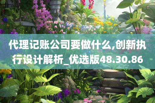 代理记账公司要做什么,创新执行设计解析_优选版48.30.86