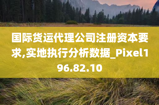 国际货运代理公司注册资本要求,实地执行分析数据_Pixel196.82.10