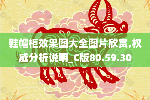 鞋帽柜效果图大全图片欣赏,权威分析说明_C版80.59.30