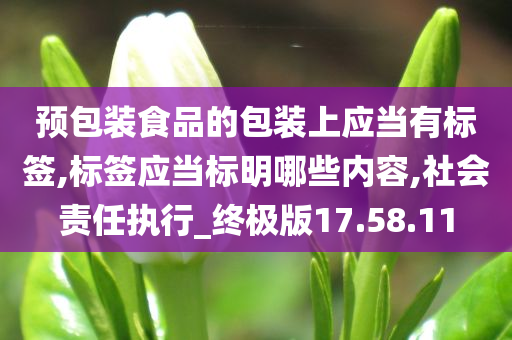 预包装食品的包装上应当有标签,标签应当标明哪些内容,社会责任执行_终极版17.58.11