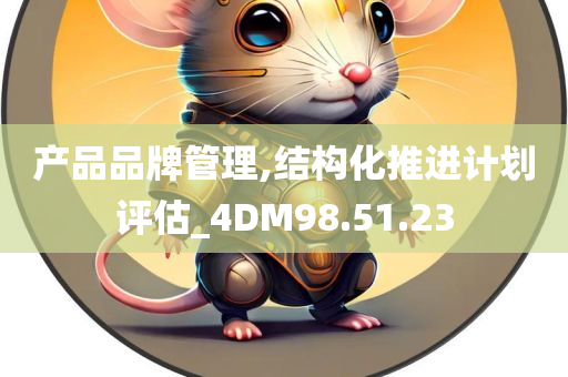 产品品牌管理,结构化推进计划评估_4DM98.51.23