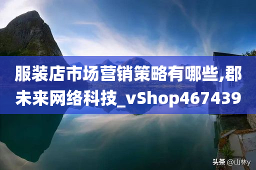 服装店市场营销策略有哪些,郡未来网络科技_vShop467439