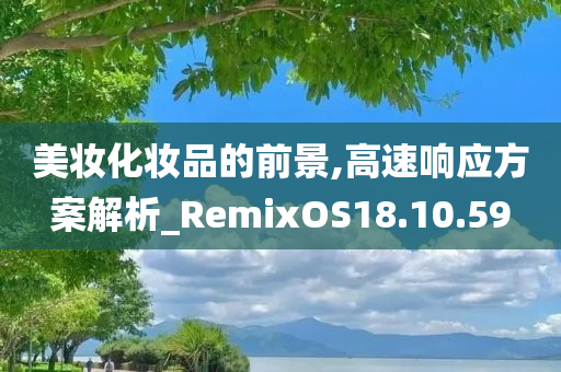 美妆化妆品的前景,高速响应方案解析_RemixOS18.10.59