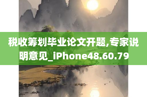 税收筹划毕业论文开题,专家说明意见_iPhone48.60.79