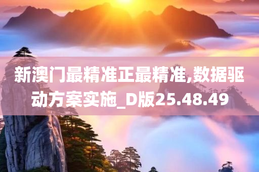 新澳门最精准正最精准,数据驱动方案实施_D版25.48.49