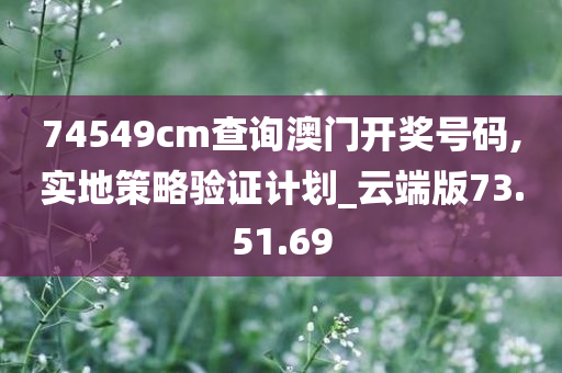 74549cm查询澳门开奖号码,实地策略验证计划_云端版73.51.69