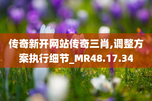 传奇新开网站传奇三肖,调整方案执行细节_MR48.17.34