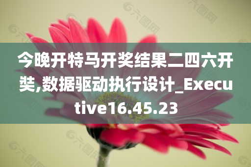 今晚开特马开奖结果二四六开奘,数据驱动执行设计_Executive16.45.23