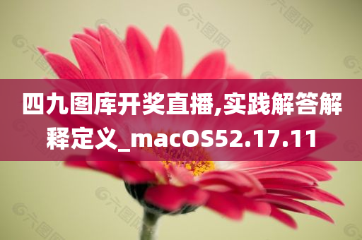 四九图库开奖直播,实践解答解释定义_macOS52.17.11