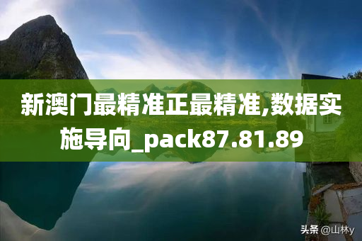 新澳门最精准正最精准,数据实施导向_pack87.81.89