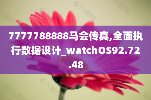 7777788888马会传真,全面执行数据设计_watchOS92.72.48