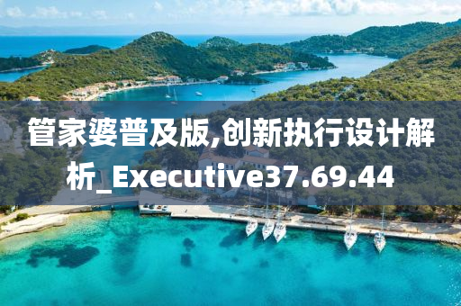 管家婆普及版,创新执行设计解析_Executive37.69.44