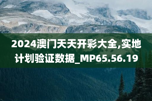 2024澳门天天开彩大全,实地计划验证数据_MP65.56.19