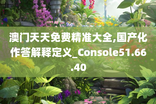 澳门天天免费精准大全,国产化作答解释定义_Console51.66.40