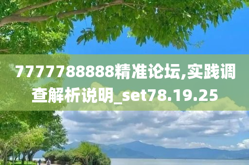 7777788888精准论坛,实践调查解析说明_set78.19.25